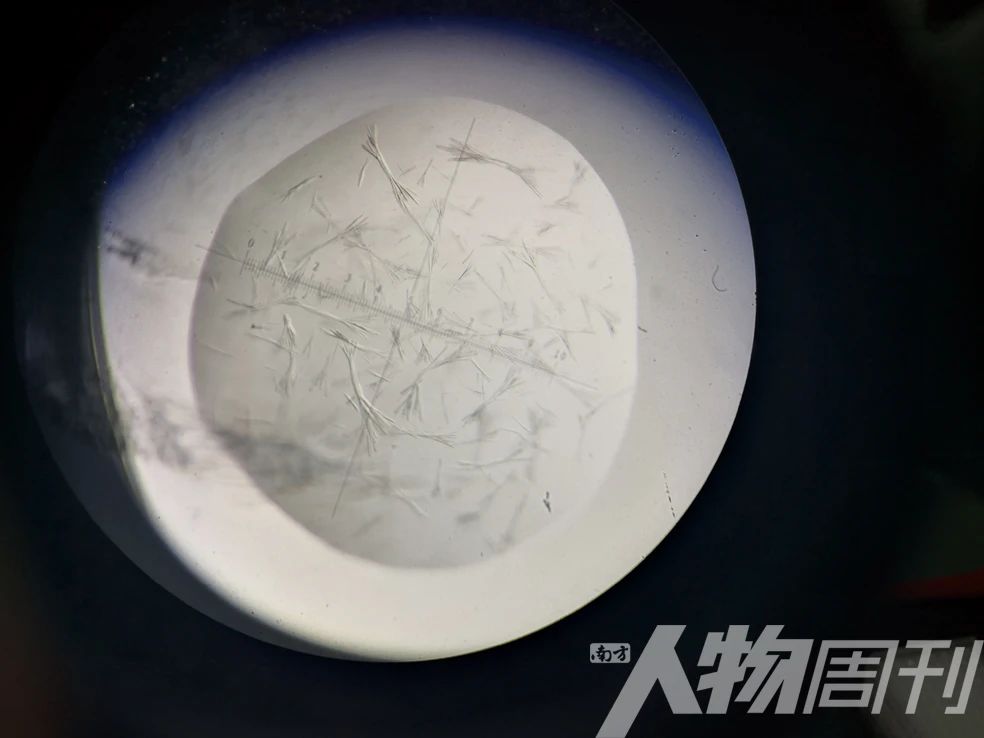 新冠疫苗之疫苗科普小知识 (疫苗最新消息新冠疫苗种类)