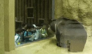 火锅九宫格是几个味道,火锅九宫格最初是区分辣度的吗