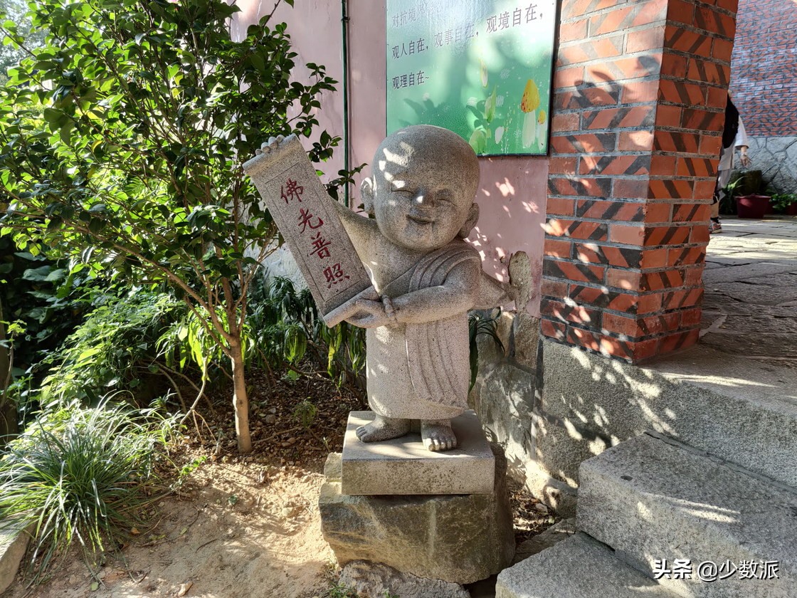 索尼手机xperia1ii真实体验,索尼xperia1ii现在还值得买吗