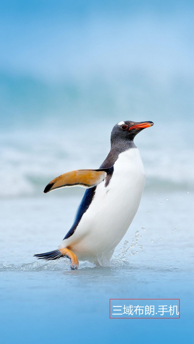 新科商会赵海宁会长,成都企业商会