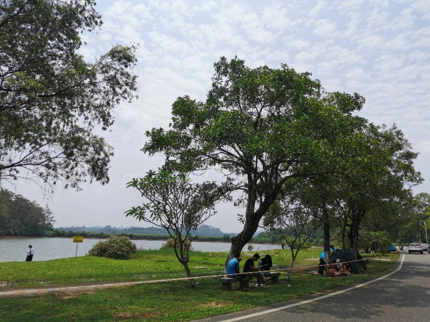 东莞长安周边一日游景点大全,东莞松山湖一日游最佳攻略