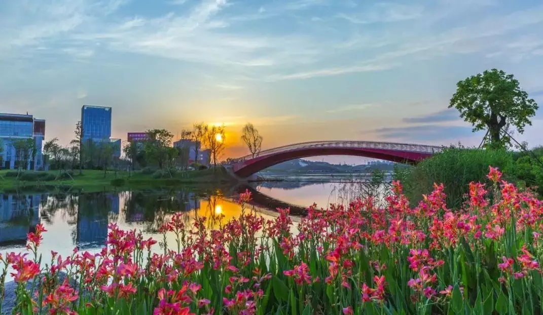 前所未有开新篇成都建设大美公园城市