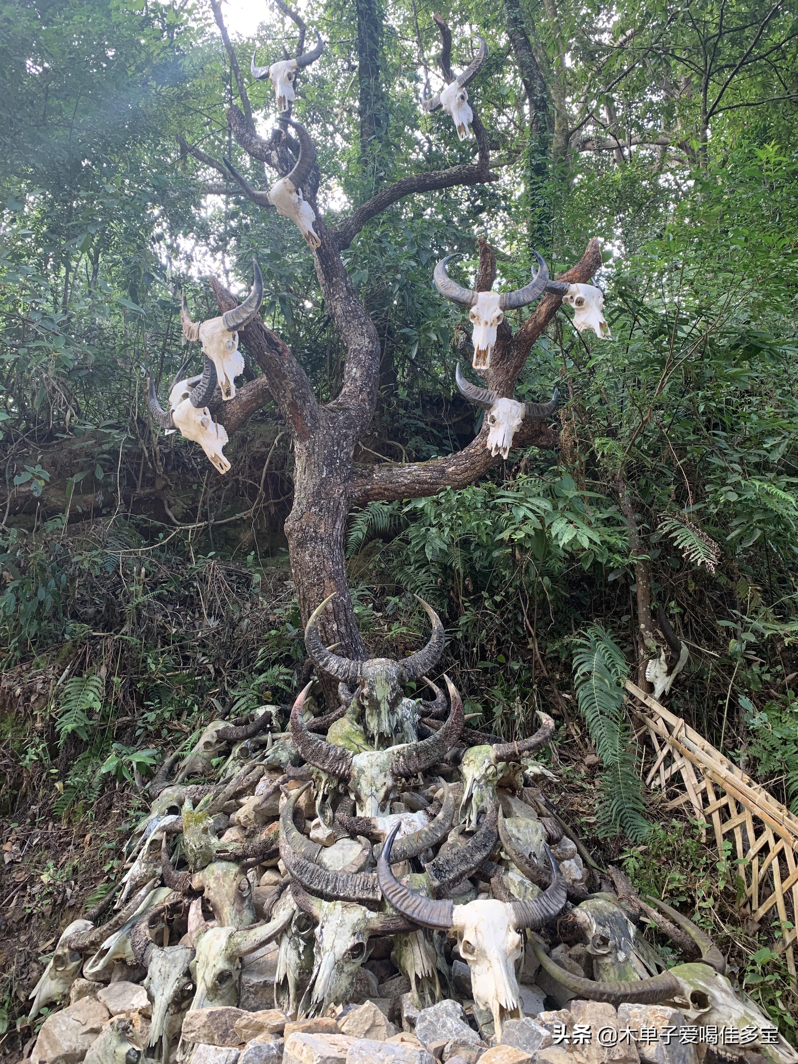 岁月在这里停留,岁月在这儿纪录片