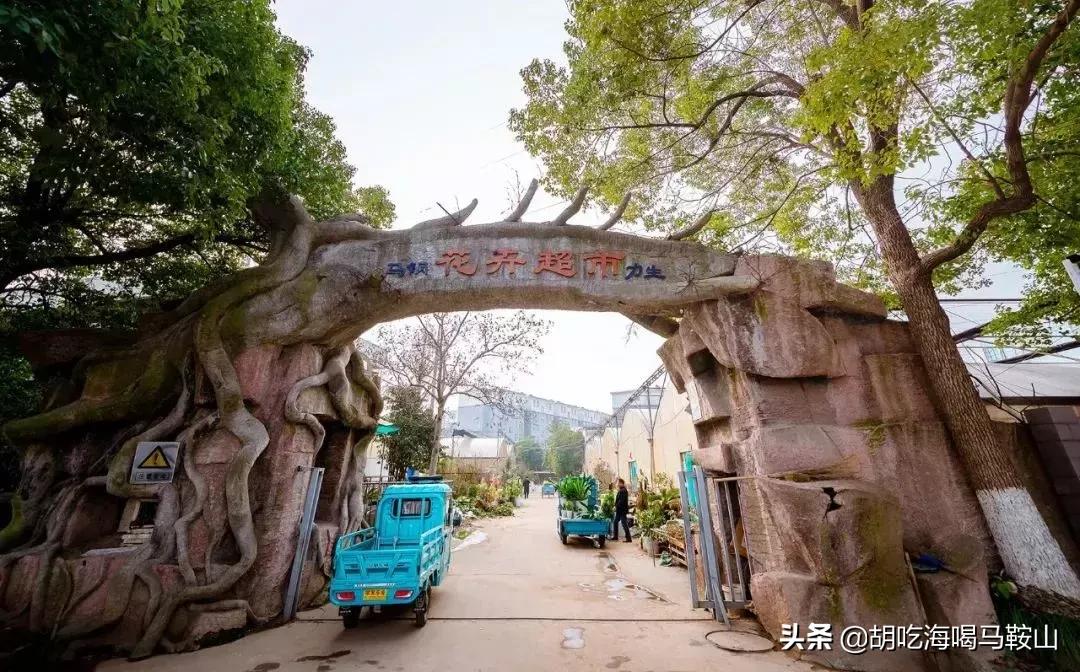 逛遍安徽各个市,安徽省马鞍山附近的大型花市