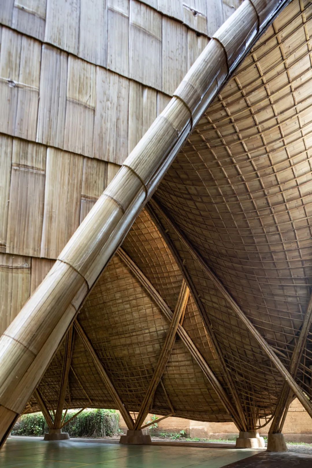 bamboo绔瑰瓙,bamboo绔规湪