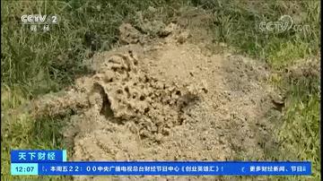 很毒！碰到这种小土堆躲远点