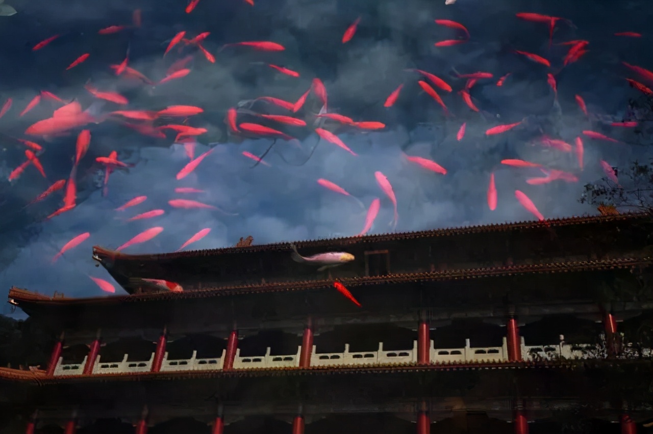 杭州天目山上客堂禅意民宿,天目山斐文禅意酒店