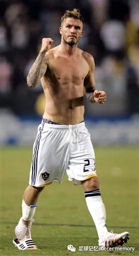 圆月弯刀蓝牛,圆月弯刀yy