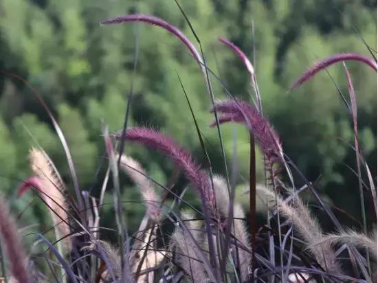 暑假两个月太无聊怎么办,暑假2个月无聊怎么办