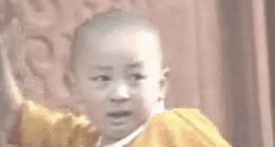 童星的悲惨下场,童星最落魄