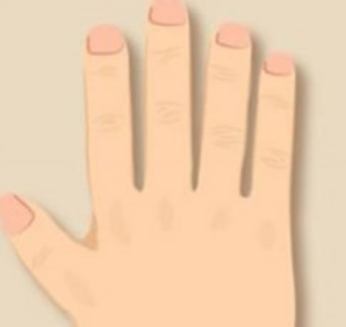 手分为哪几种类型的手,手表手镯戴哪只手比较好