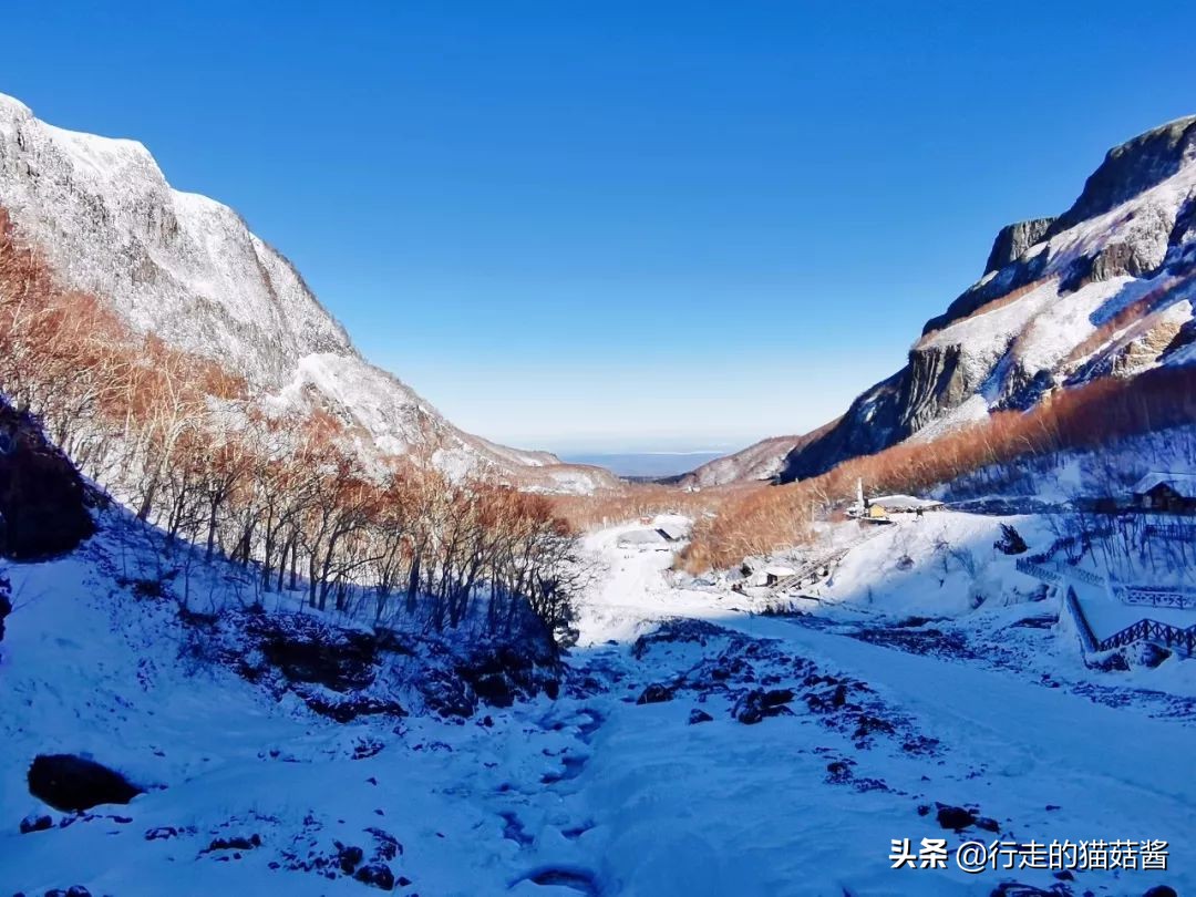 长白山天池猴子泡温泉 (长白山冬天看天池)