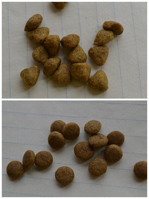 秋田犬吃什么牌子狗粮好,秋田犬都吃什么牌子的狗粮