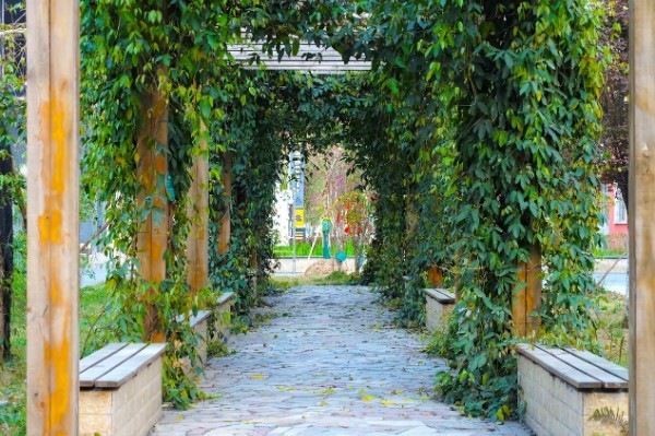 巴中市第四中学西华山春游,春游高一