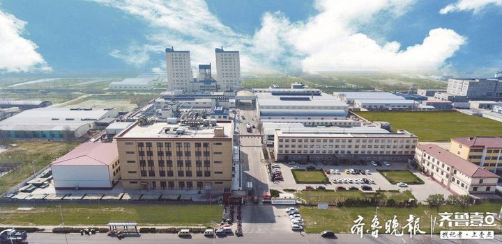 卡位新风口驶入新航道，德州禹城激活大健康产业一池“春水”