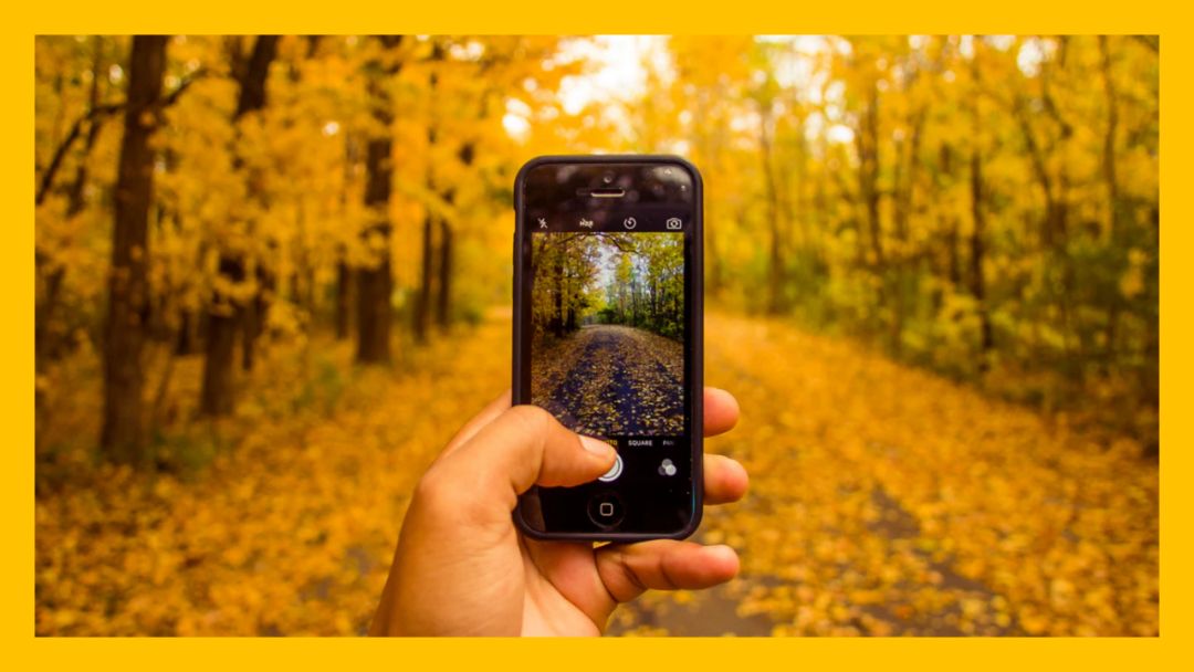 网页长截图怎么做,网页又宽又长怎么完整截图