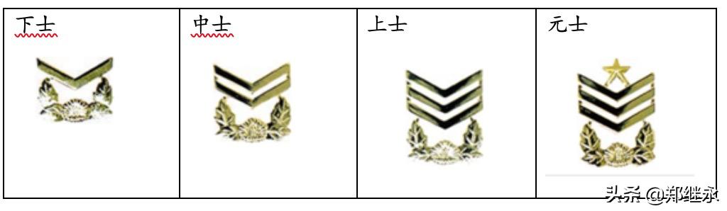 韩国陆军服役服,韩国陆军师标志