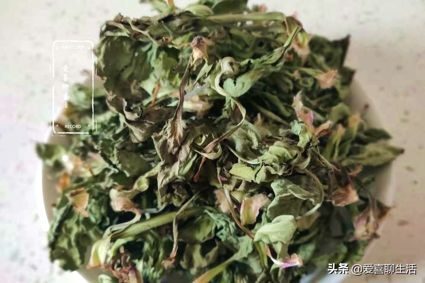 车前草新鲜,哪个季节的车前草泡水喝最好
