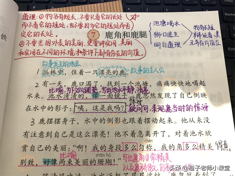 三年级语文7课鹿角和鹿腿,三年级下册鹿角和鹿腿感悟