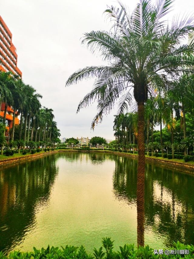 中国最美丽的校园照片,中国最美丽的校园中山大学南校区