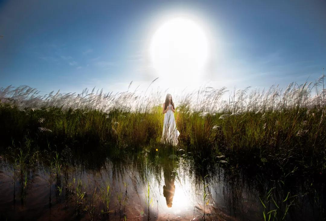 物极必反完整的句子,物极必反深度好文100篇