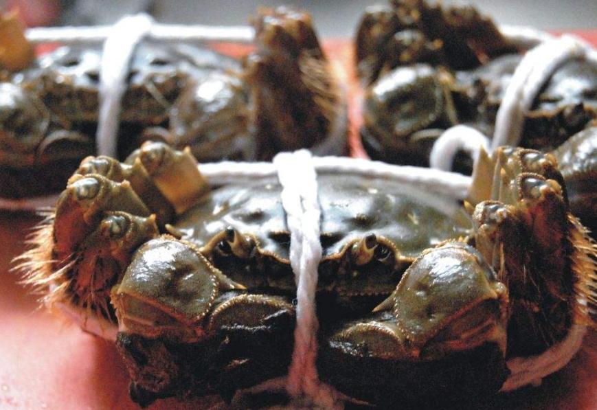 蒸螃蟹不掉脚的方法有哪些窍门,怎么蒸螃蟹不断腿的正确方法