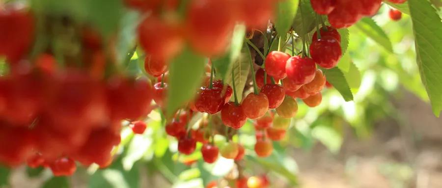 郑州市中国最幸福感城市,郑州入围幸福城市