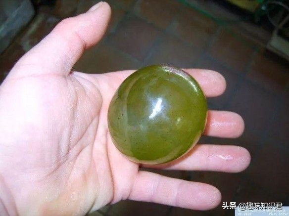 每日更新科普各种奇妙冷知识,小知识科普冷知识