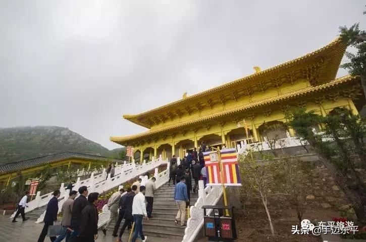 带着你的胃，寻找东平味儿