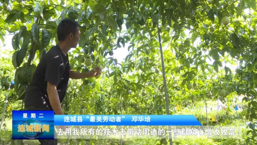 最美劳动者先进个人事迹,最美劳动者人物事迹湖北