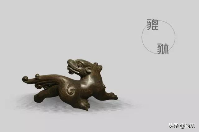 茶宠直播福袋,最好的10种茶宠