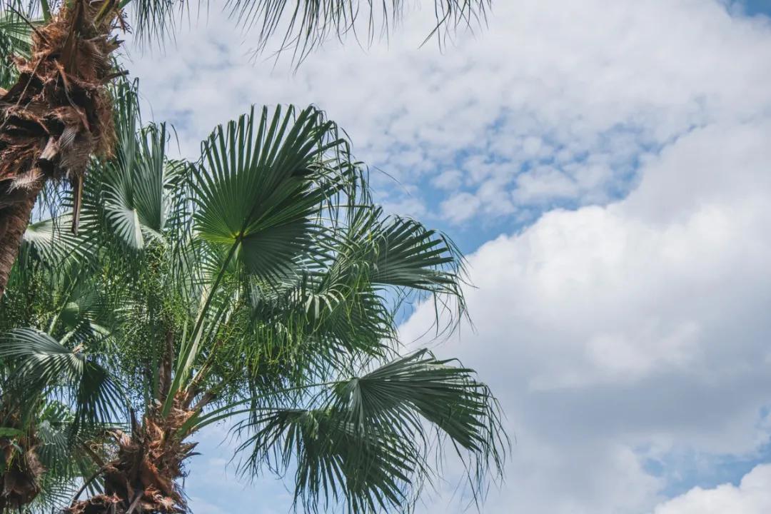 江门郊外散步,江门适合散步的地方