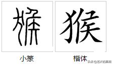 十二生肖中的象形字的演变,十二生肖字的演变