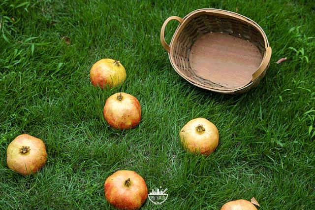 立秋，立秋！这43件事，上海人必须要去做