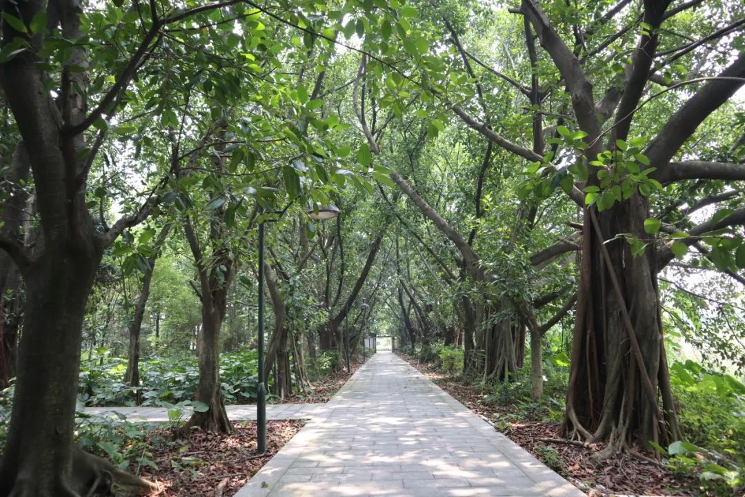 一些像土拨鼠一样的小故事