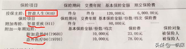 智胜人生10年,智盈人生和智胜人生一句话总结