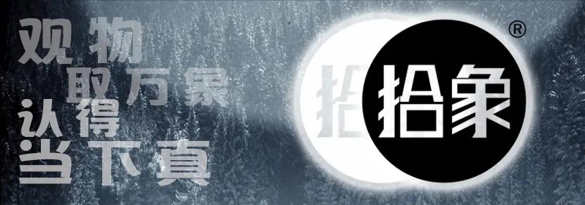 老林捡漏寿山田黄,姚春茂田黄