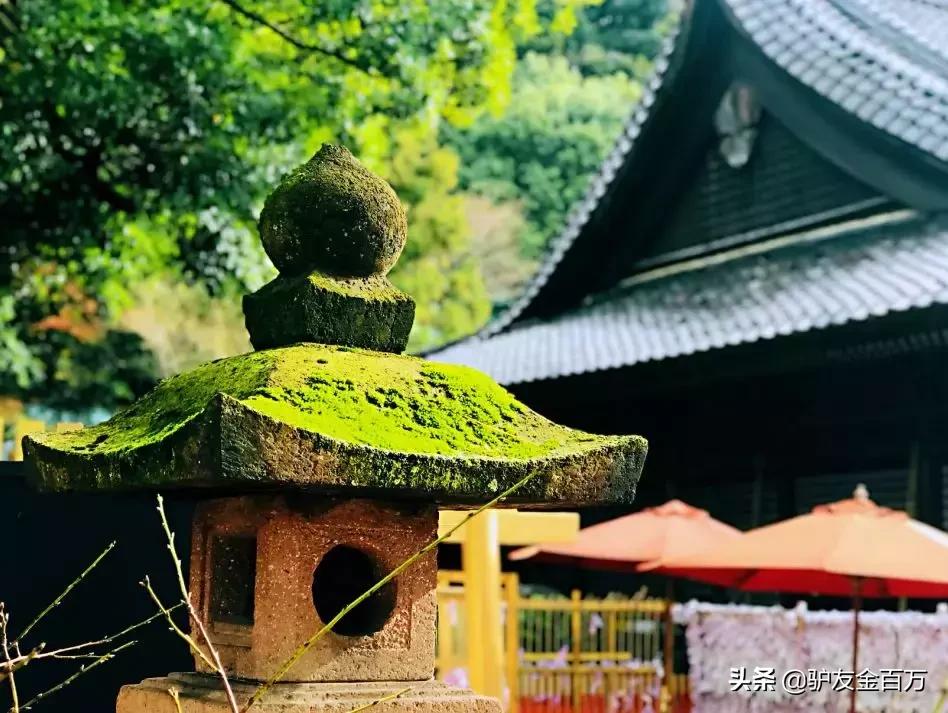 日本签证5月重大便利，“网申”在即！这个好吃好玩好买的地儿