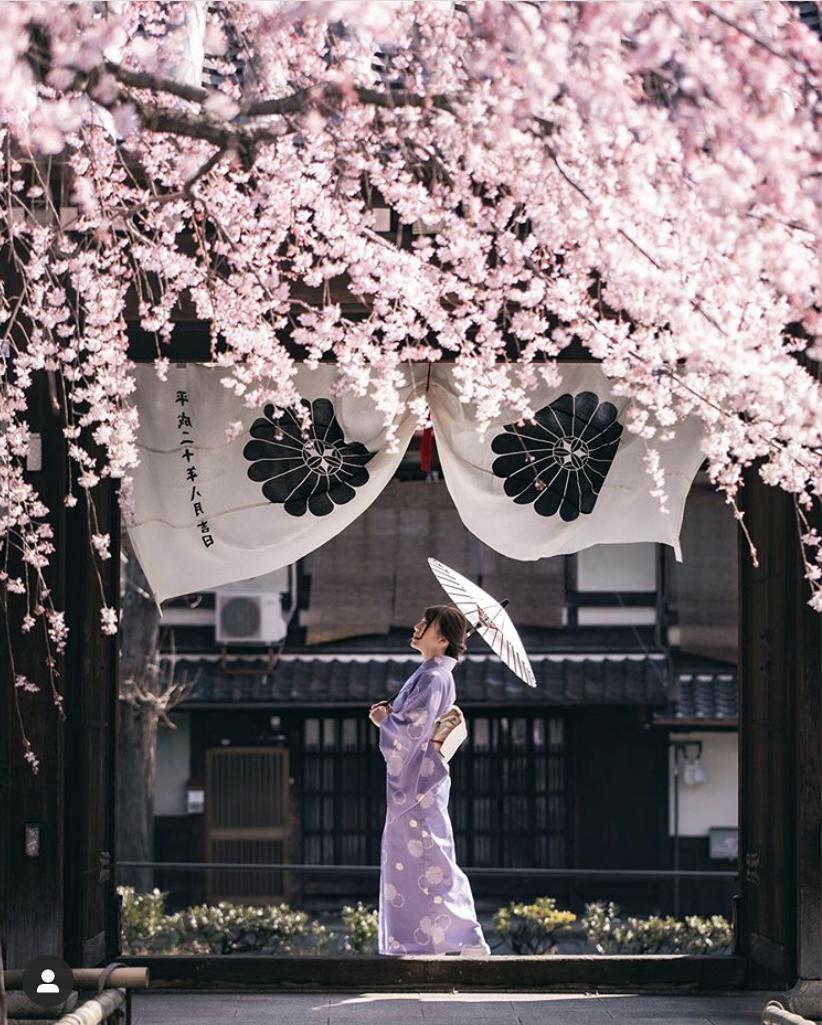 是心动啊，樱樱樱樱樱樱樱樱樱