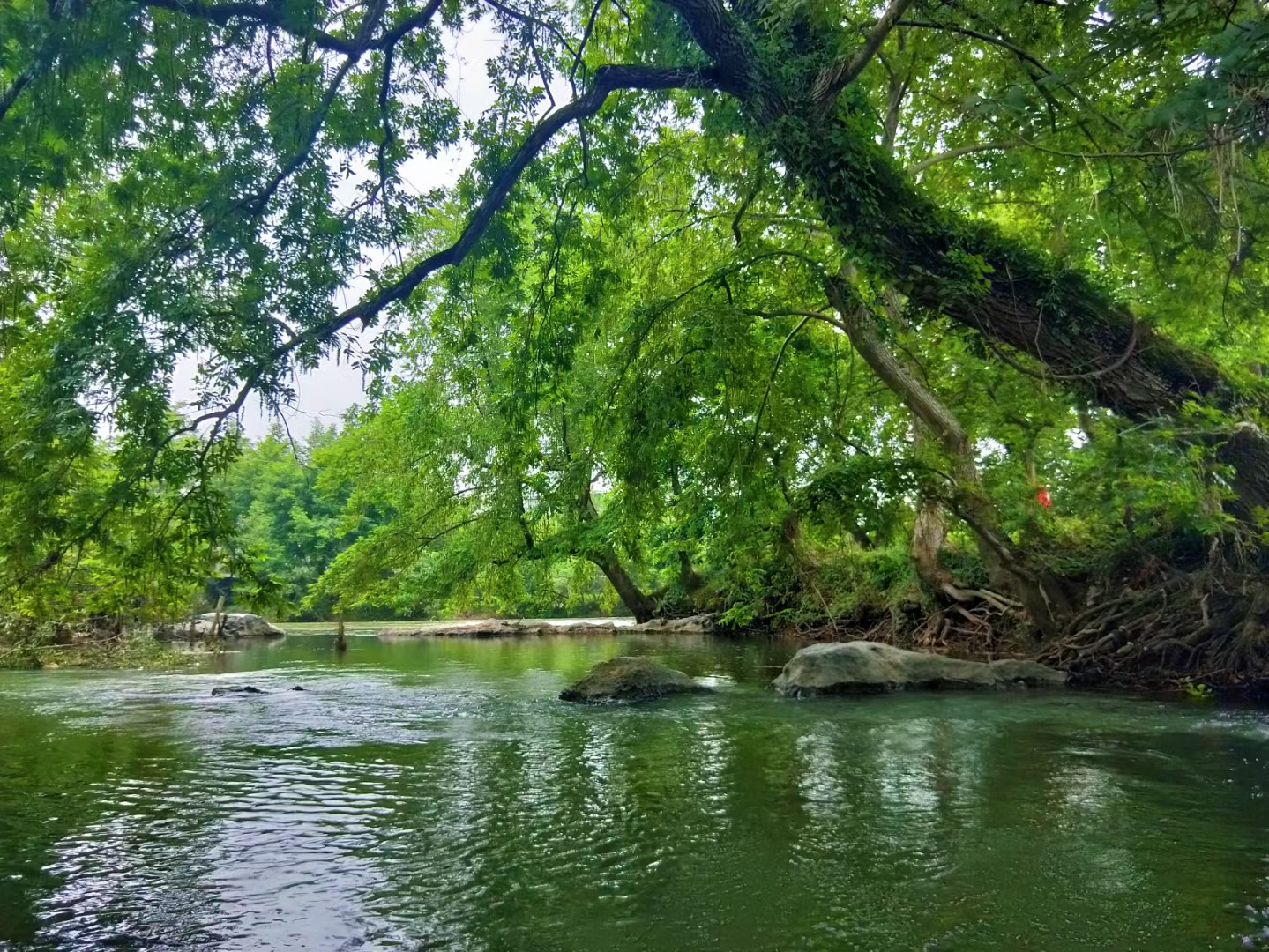 江西中考均衡生和统招生的比例,江西中考均衡线什么意思