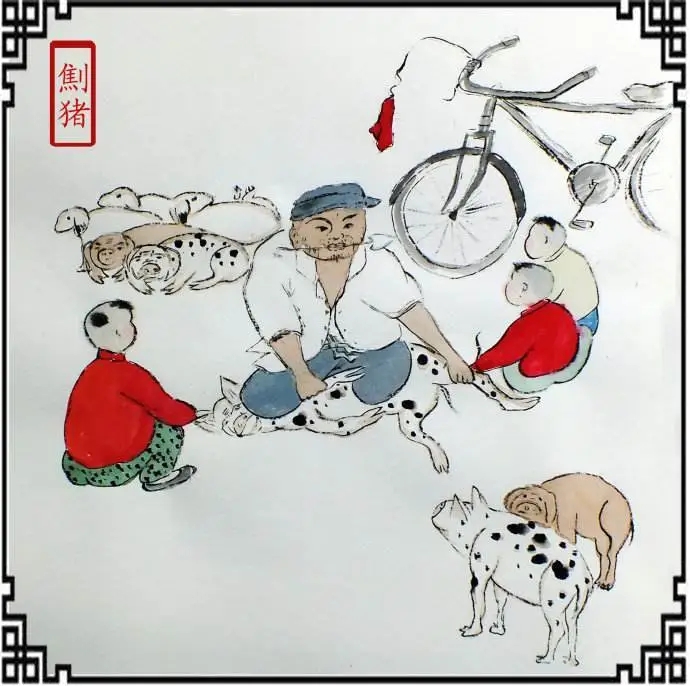 兽医新手该如何给猪打针,老兽医怎么给母狗绝育