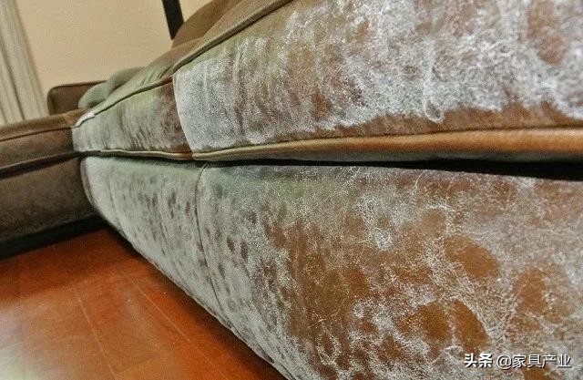 南方人家里一年四季都在发霉？这份除霉秘籍快收好