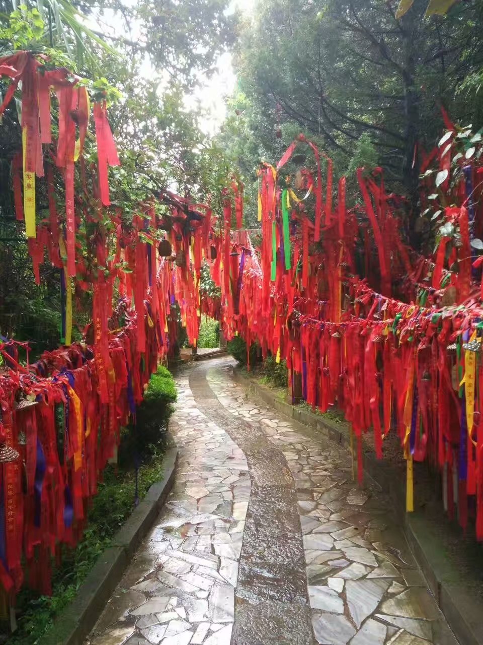 云南贵州之旅,云南蝴蝶泉之游