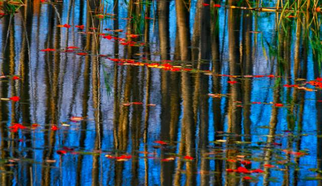 阿勒泰秋季旅行,新疆旅行阿勒泰秋天