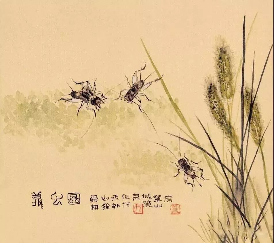 齐白石水墨小品欣赏,齐白石虫草长卷