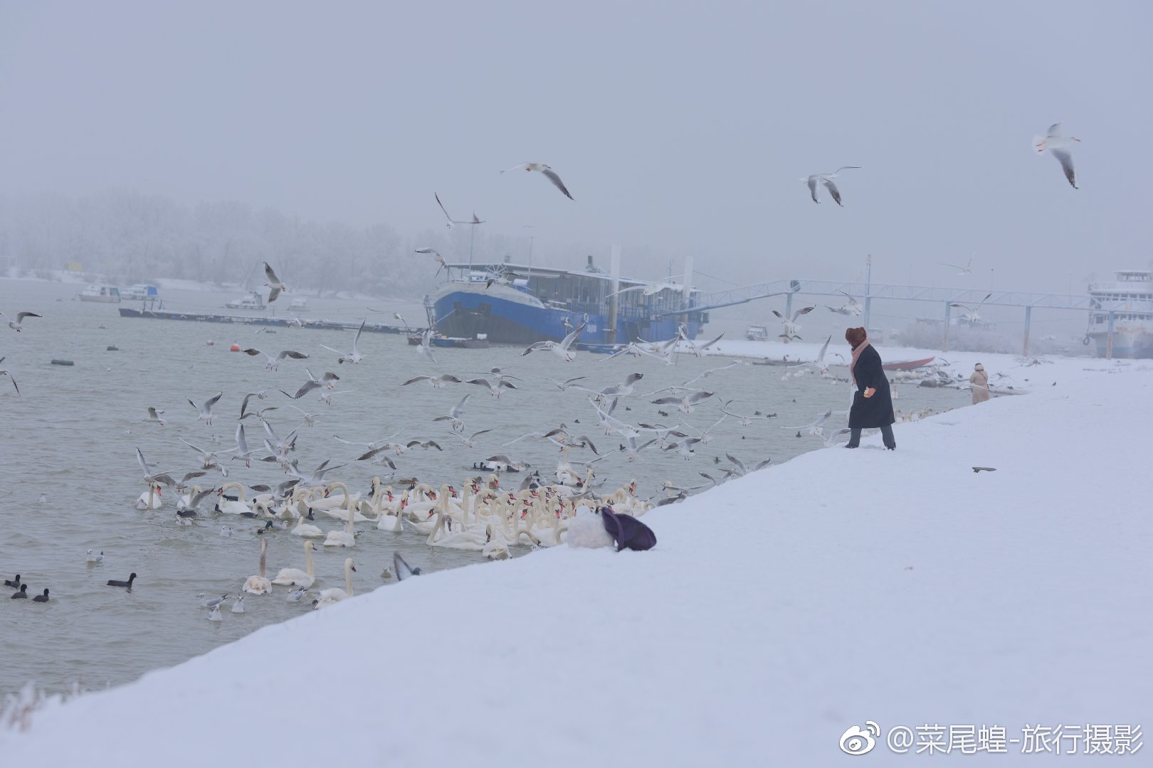 贝尔格莱德旅游免签,东欧冬天旅游攻略