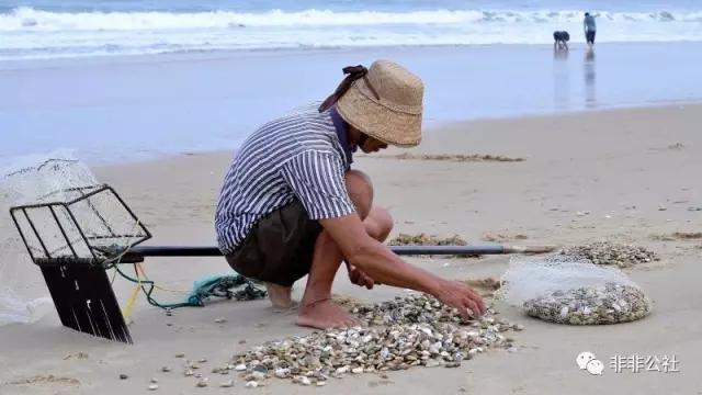 湛江游玩打卡攻略路线,湛江行程攻略