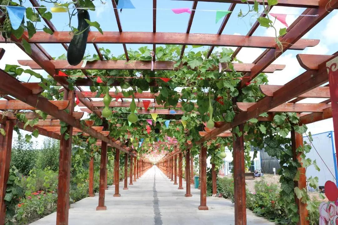 一派和谐的自然风光,一派祥和的自然风光