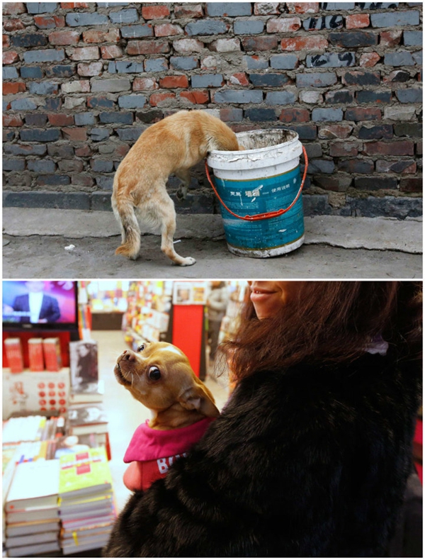 感悟北京之美,网友镜头里的北京之美