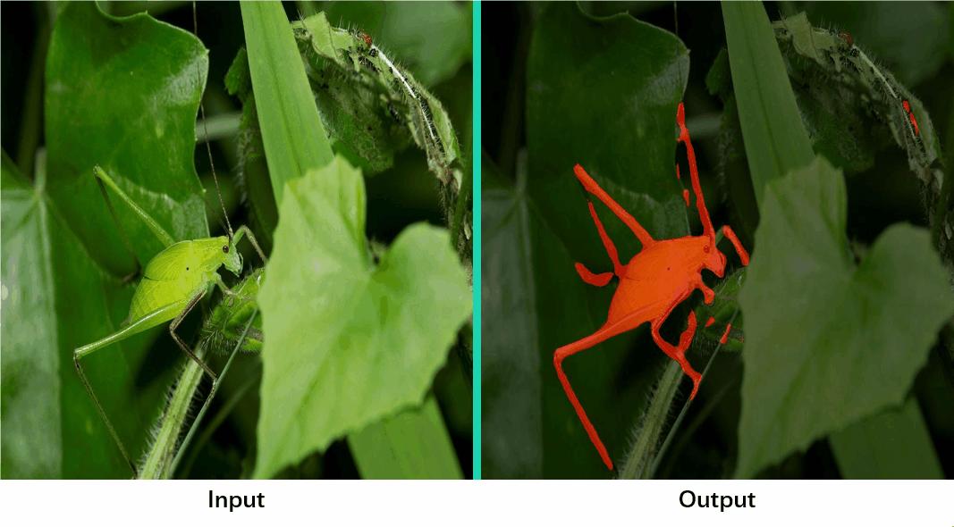 cvpr小目标检测,一文看懂目标检测